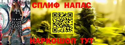 a pvp Аргун