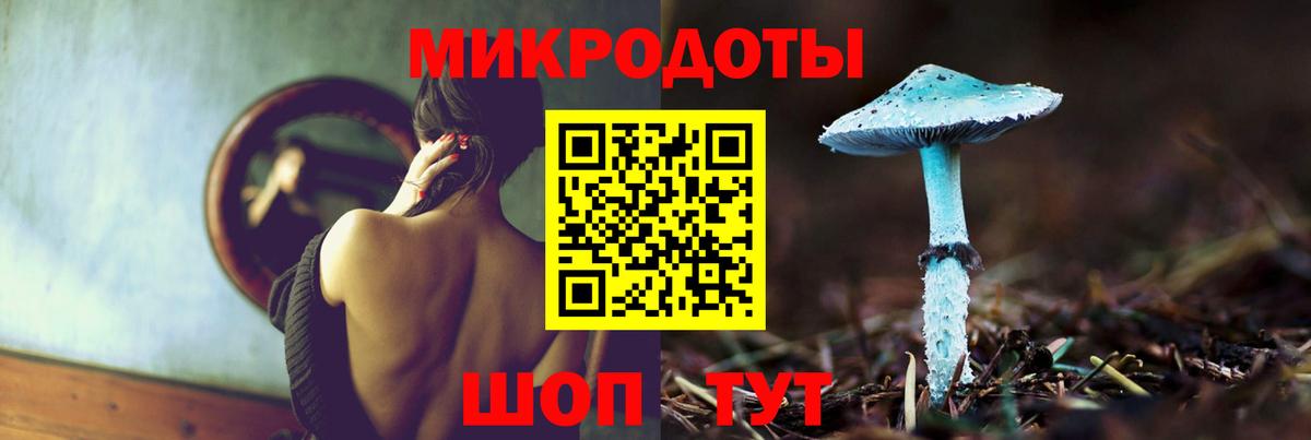 Галлюциногенные грибы Psilocybe  где купить наркоту  Галлюциногенные грибы мицелий  Белореченск  Вход с VPN 